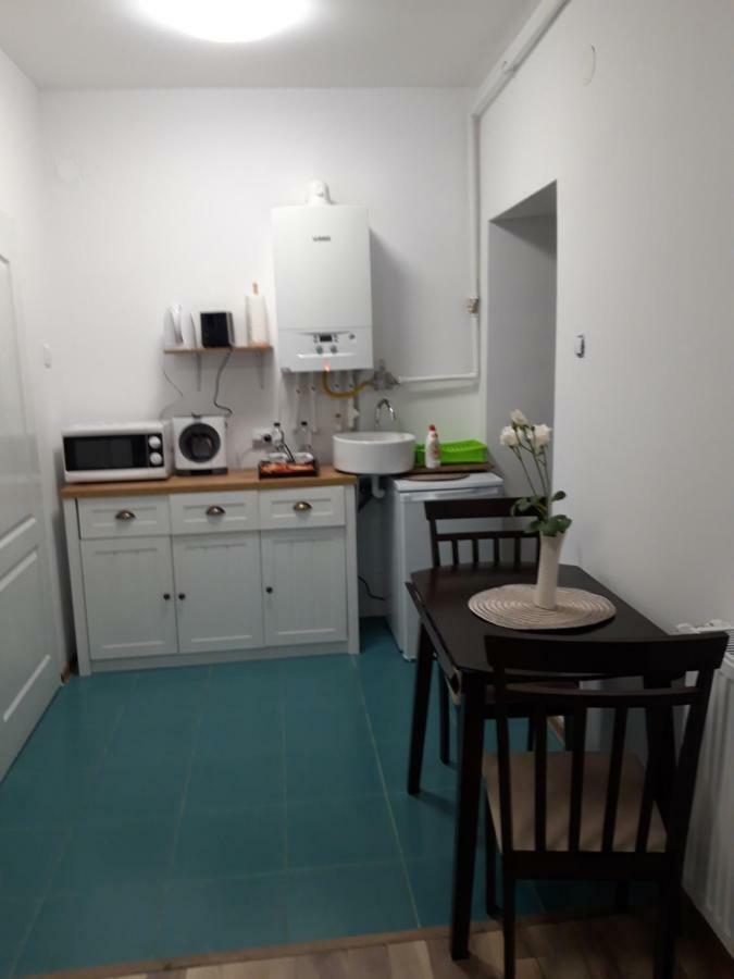 Apartmán Sara House Bistriţa Exteriér fotografie